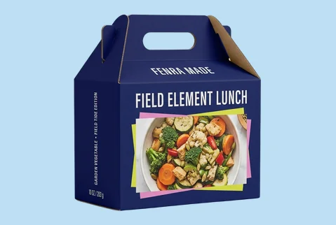 2 gable lunch boxes