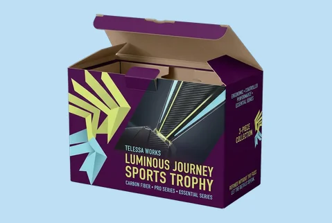 4 insert fitted trophy boxes