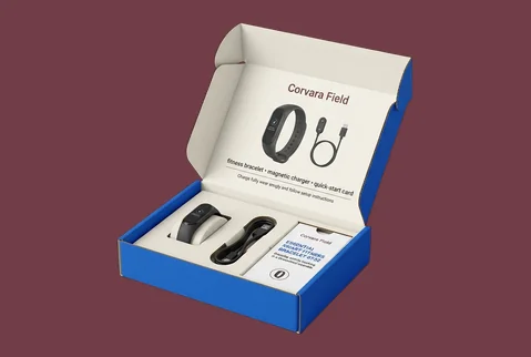 5 Window Display Boxes