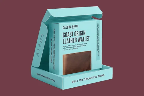 6 collapsible rigid kits