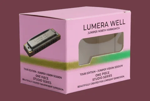 6 die cut window boxes