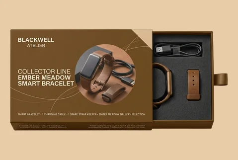 Smart Bracelet Boxes