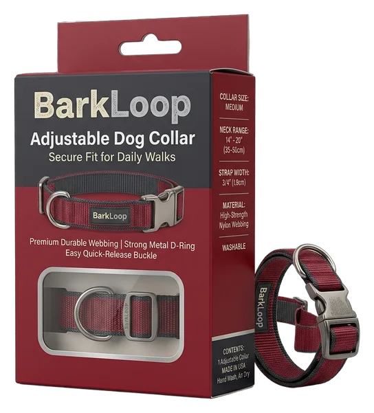 s1-p2-dog-collar-boxes