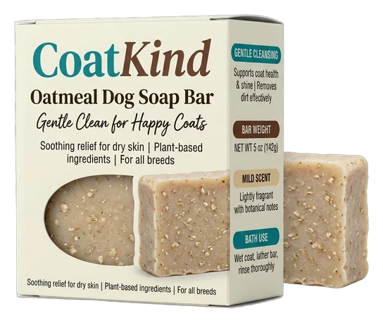 s1-p2-dog-soap-boxes