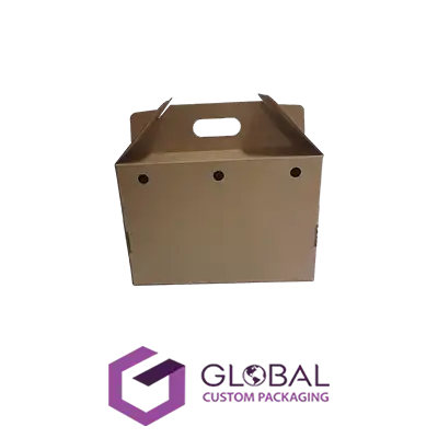 Custom Cardboard Carry Boxes
